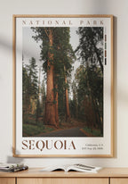Sequoia National Park Poster