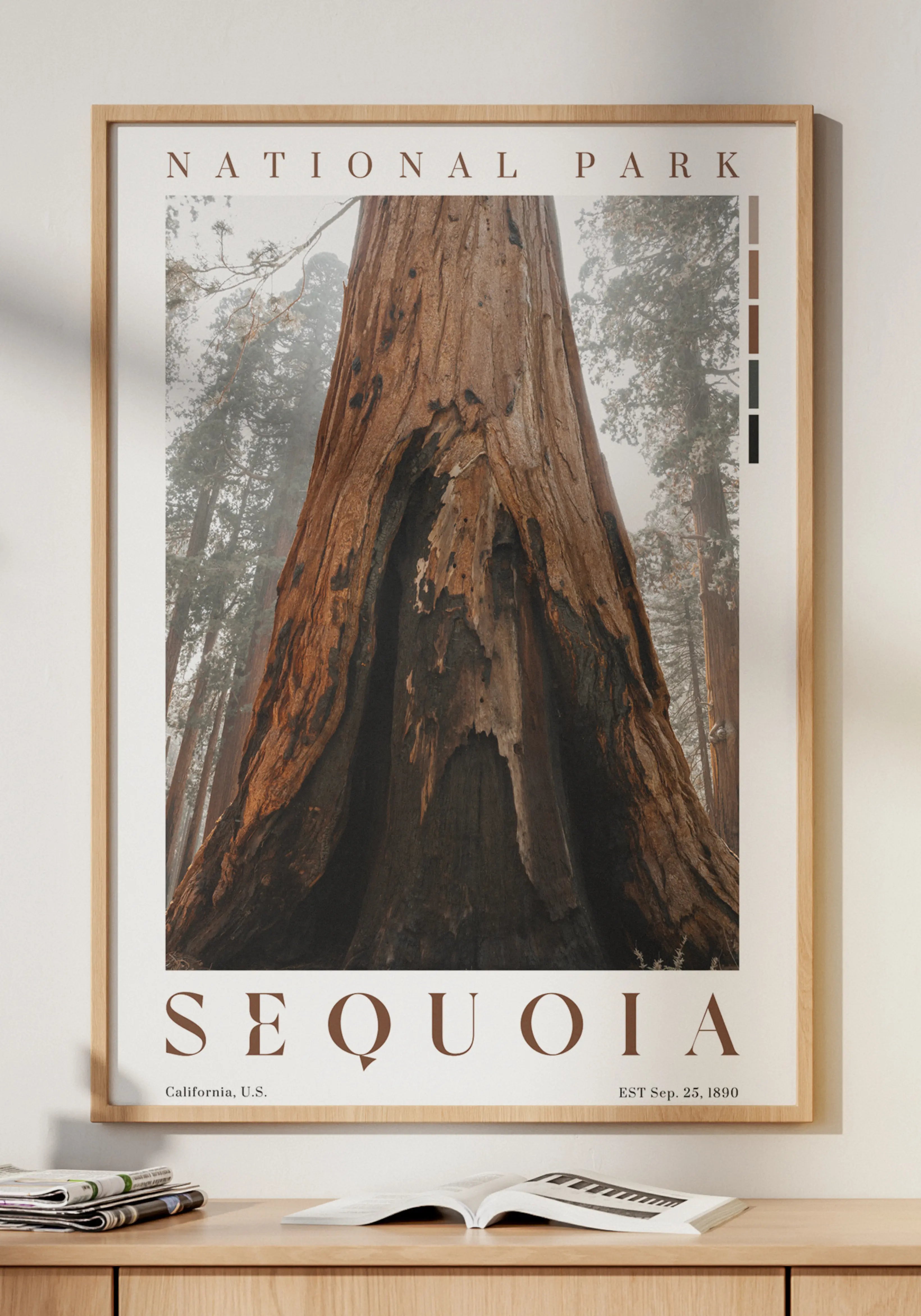 Sequoia National Park Poster