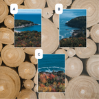 Acadia National Park Letter: September 2026