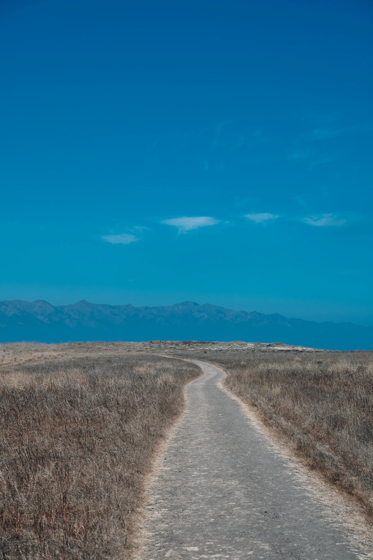 Trail on Santa Cruz Island in Channel Islands National Park, California photography print