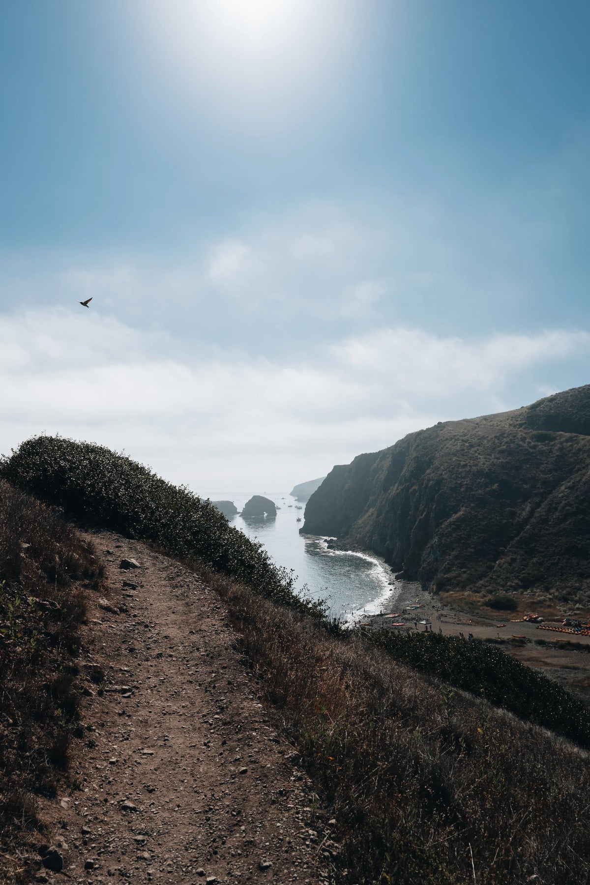Rugged shoreline on Santa Cruz Island in Channel Islands National Park, California photography print