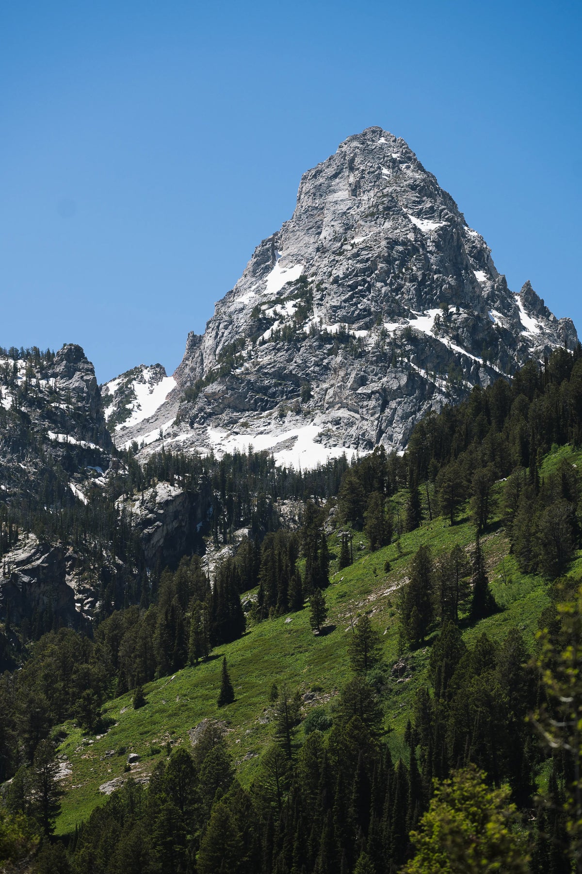 Teton Range and evergreen trees in Grand Teton National Park, Wyoming photography print
