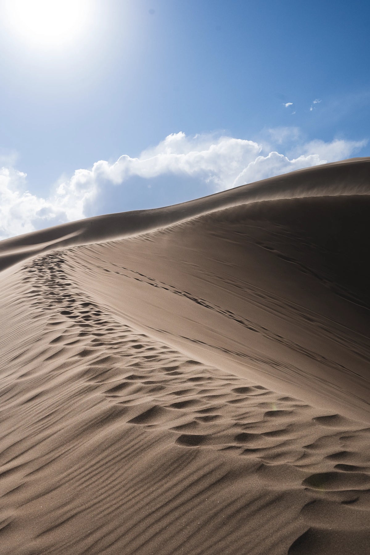 High Dune Trail in Great Sand Dunes National Park, Colorado photography print
