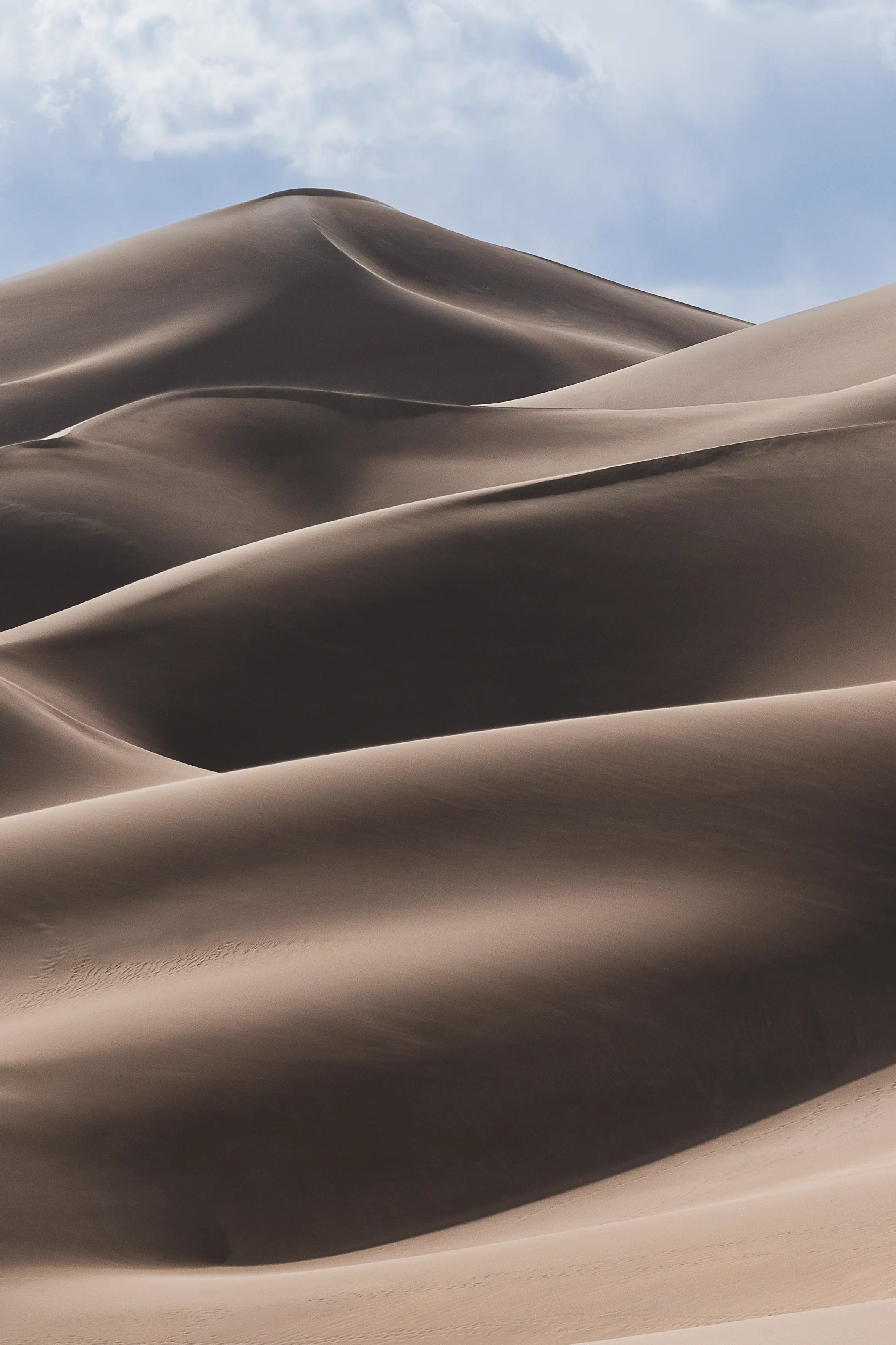 Layered dune ridges in Great Sand Dunes National Park, Colorado photography print