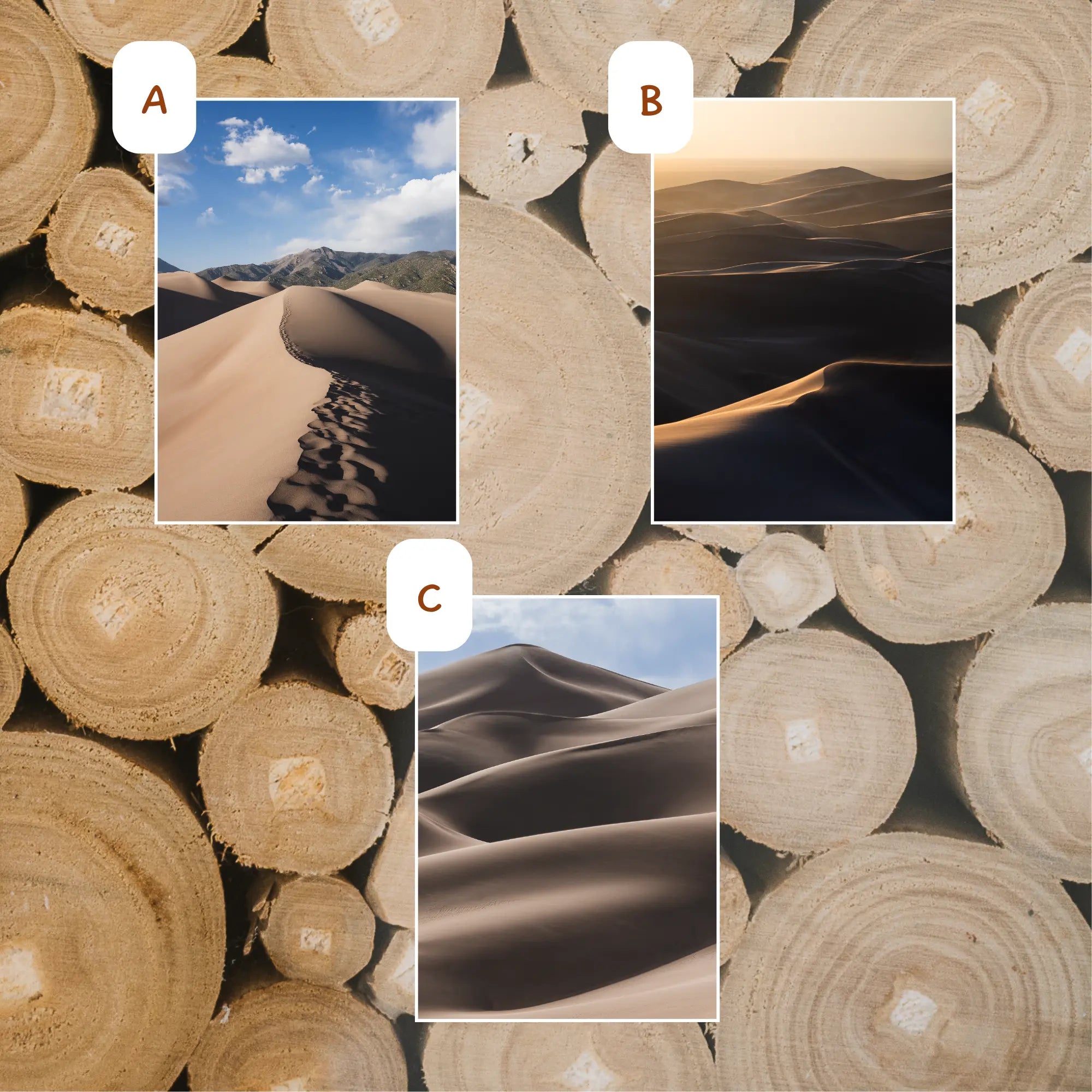 Great Sand Dunes National Park June 2026 Park Print Club letter and photography