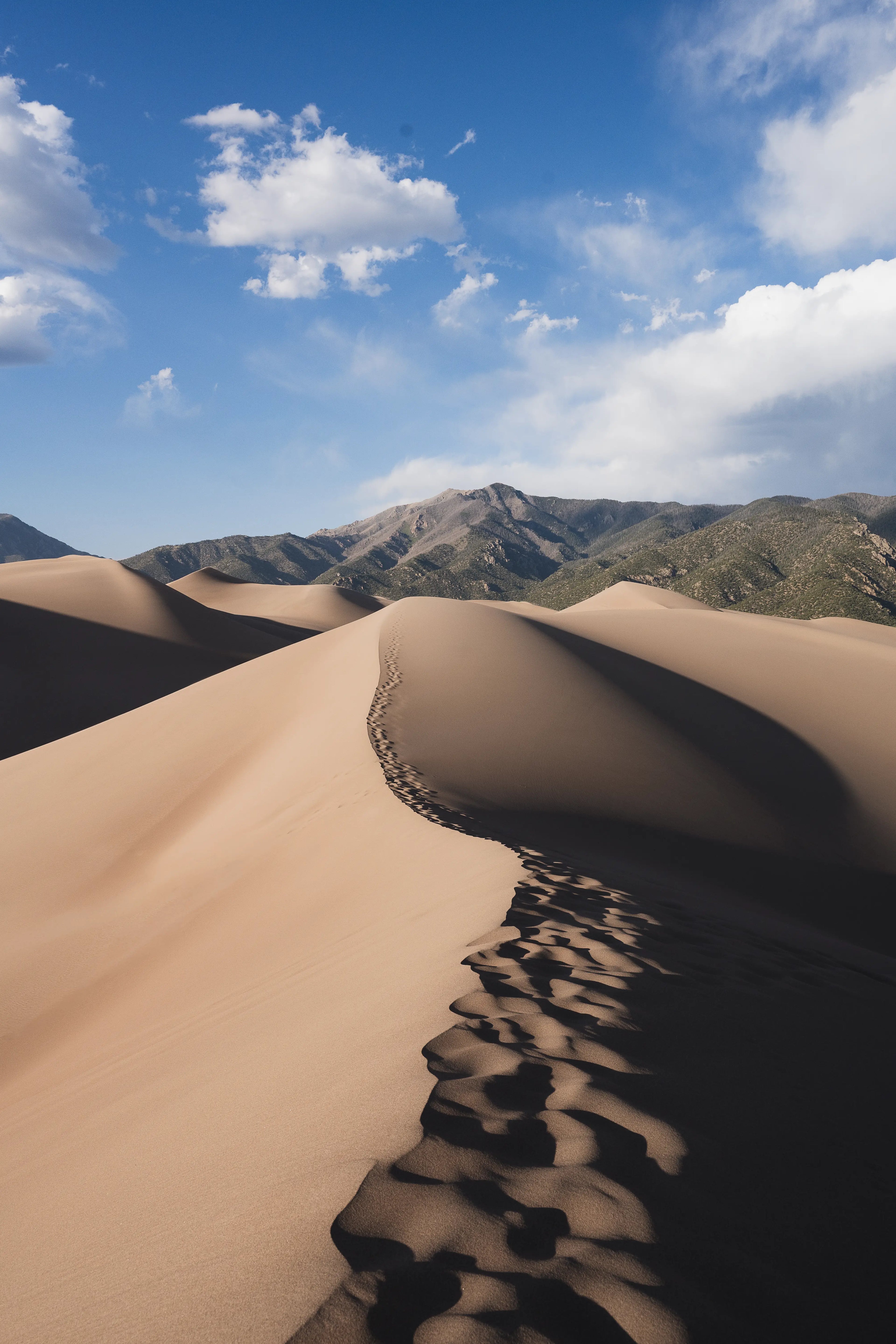 Great Sand Dunes National Park dunes with mountain backdrop along High Dune Trail in Colorado photography print