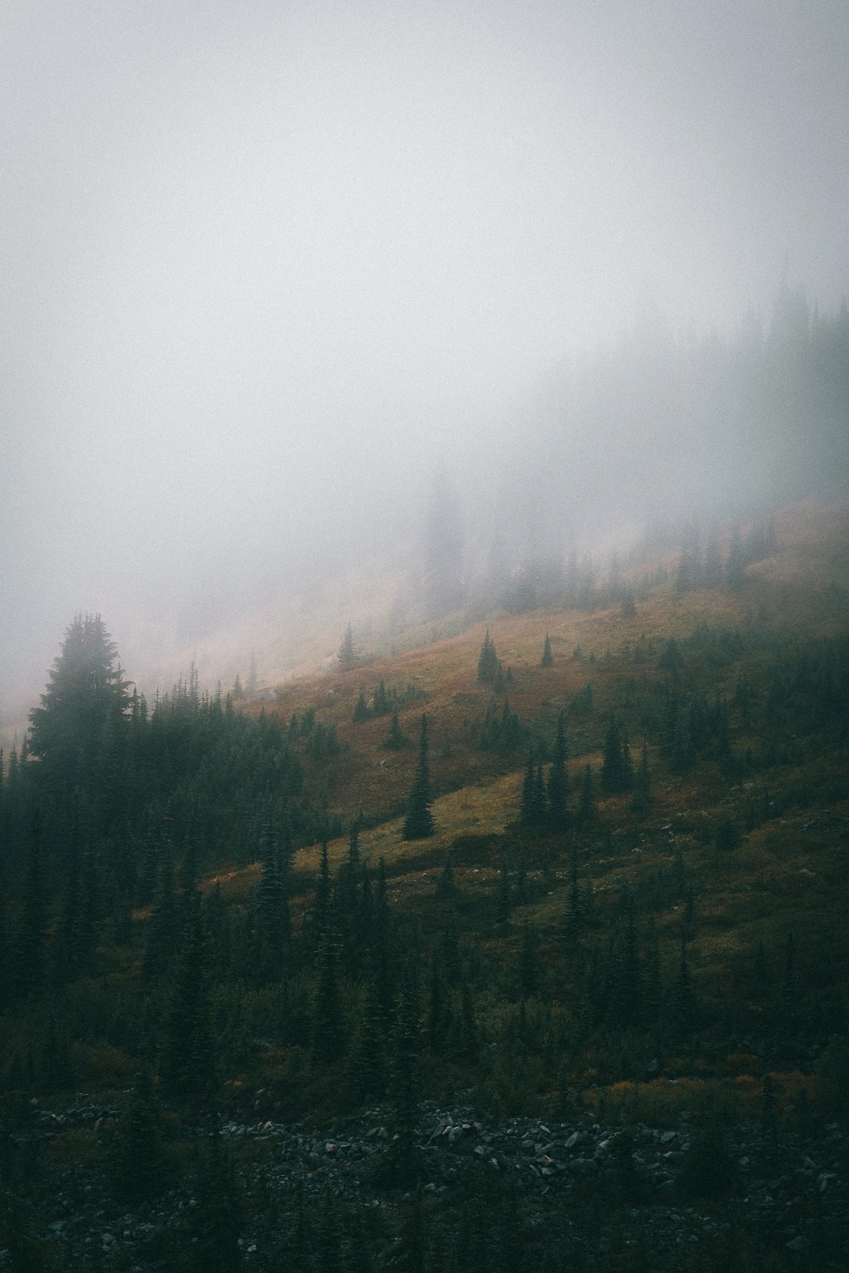 Foggy mountain landscape along Skyline Trail in Mount Rainier National Park, Washington photography print
