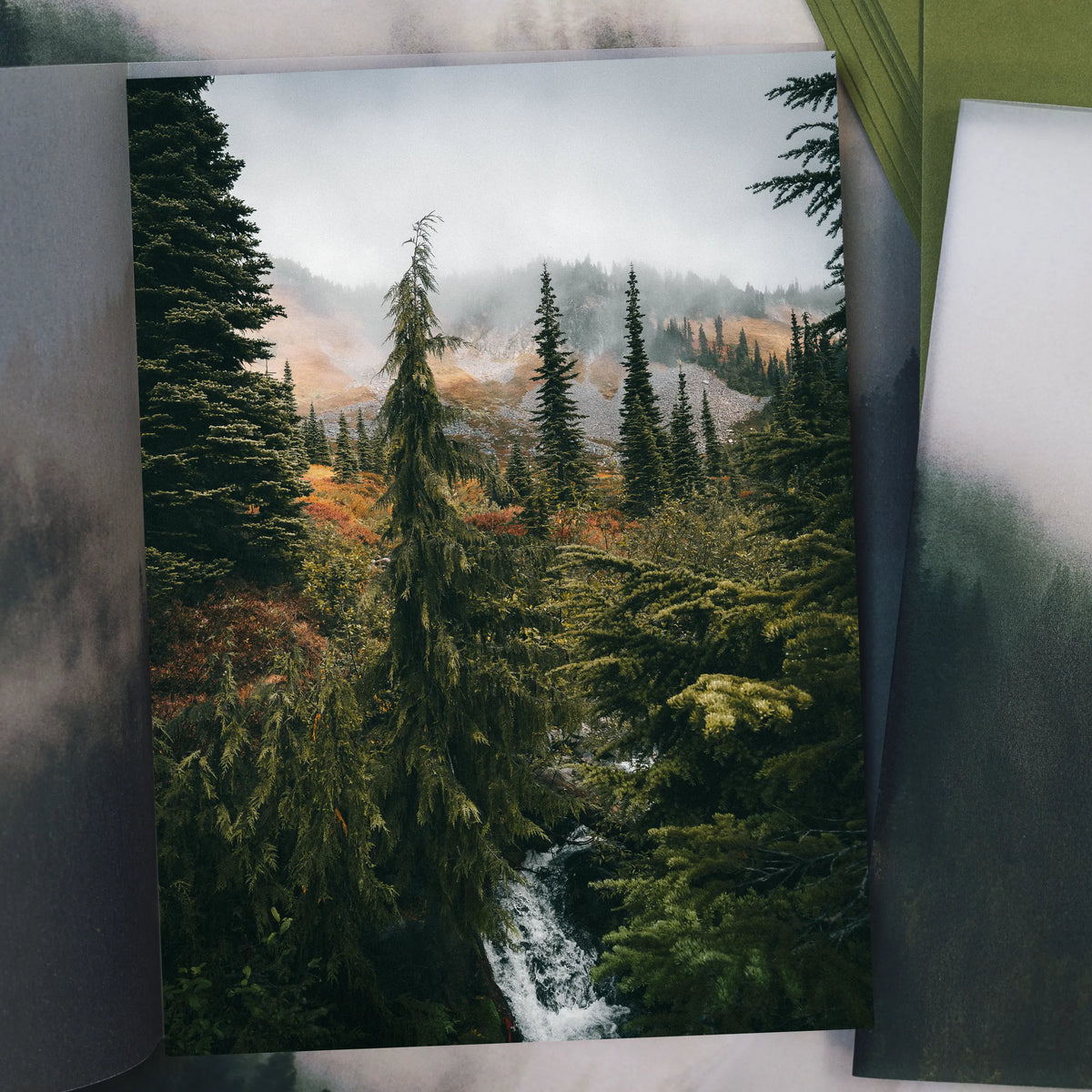 Mount Rainier National Park April 2026 Park Print Club letter and photography