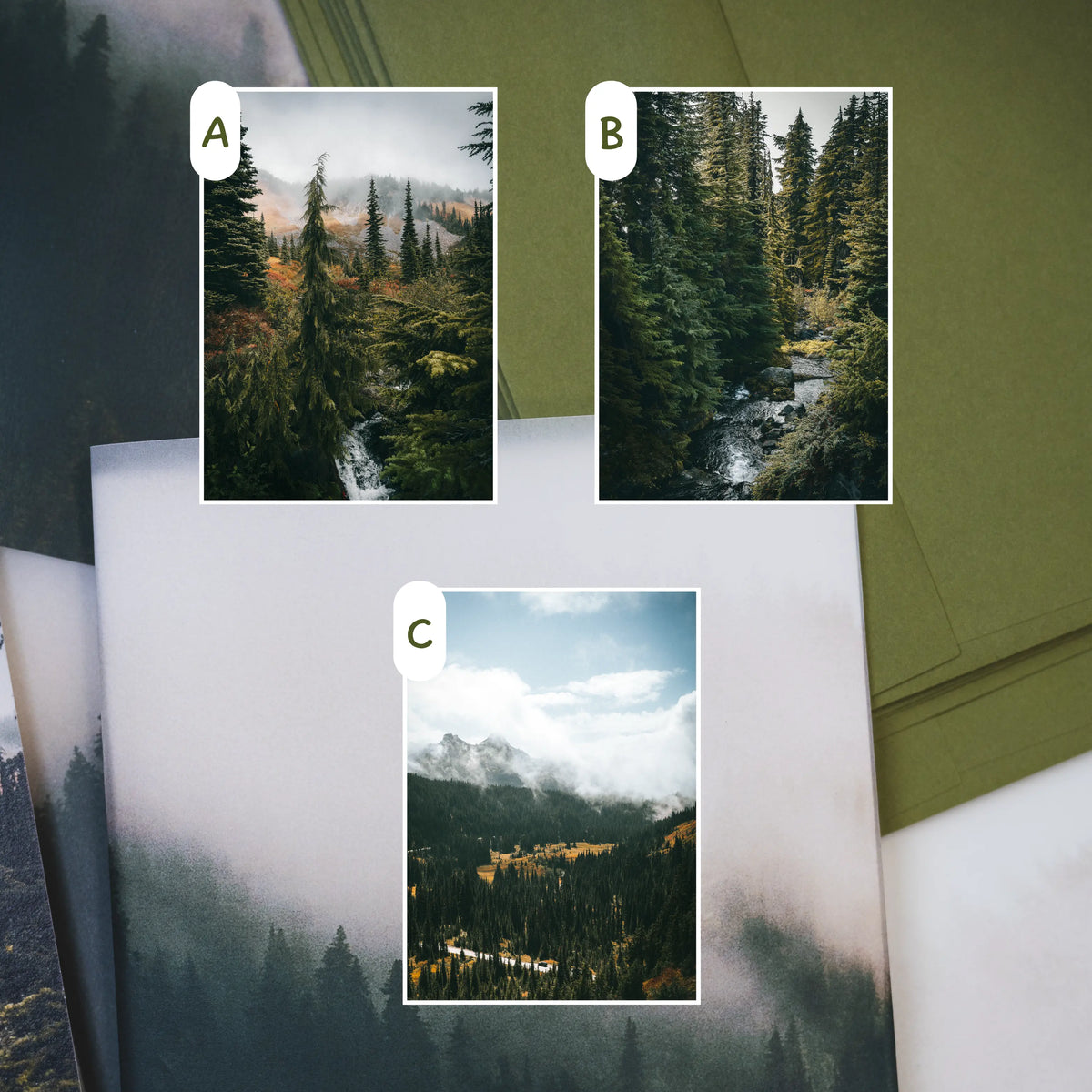 Mount Rainier National Park April 2026 Park Print Club letter and photography