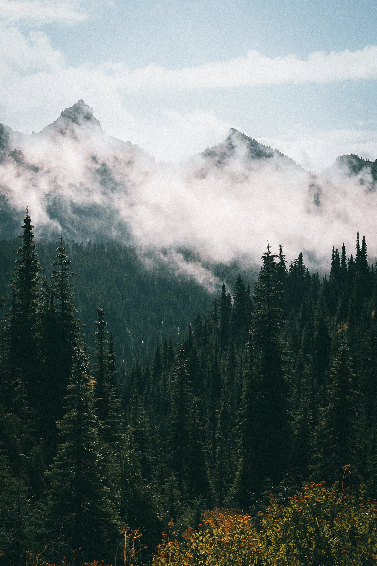 Mountain landscape along Skyline Trail in Mount Rainier National Park, Washington photography print