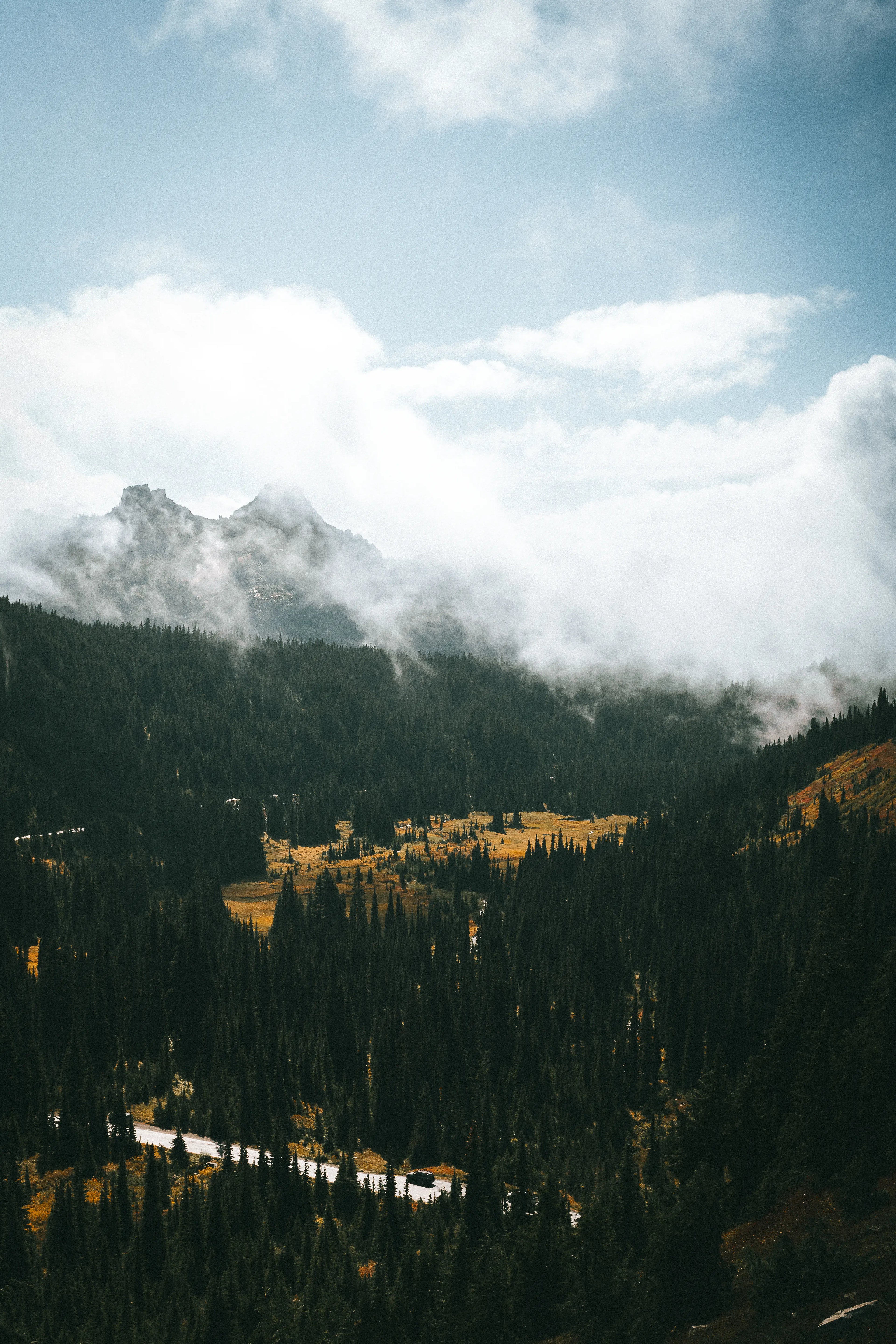 Morning mist along Skyline Trail in Mount Rainier National Park, Washington photography print