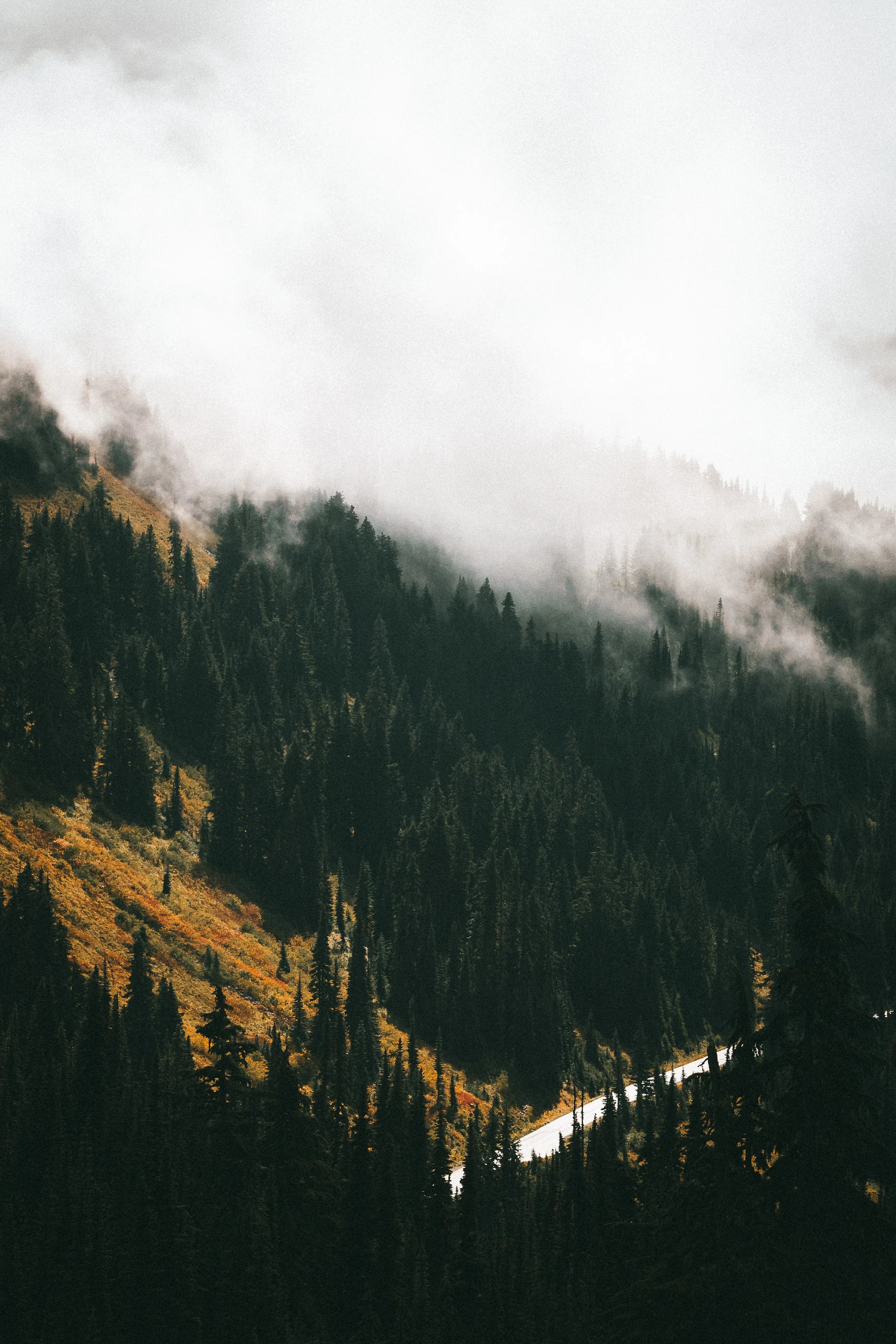Mount Rainier rising through clouds along Skyline Trail in Mount Rainier National Park, Washington photography print