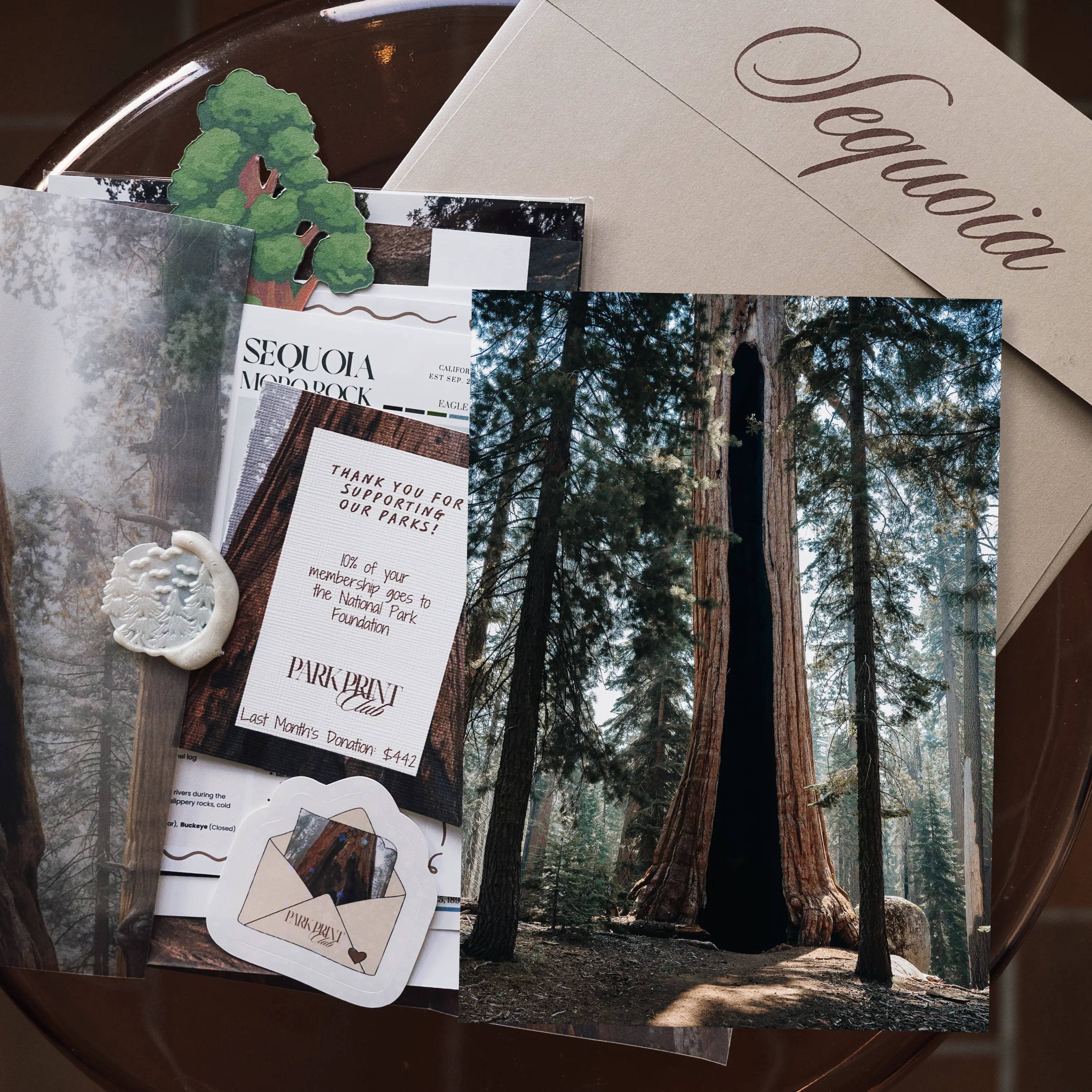 Sequoia National Park March 2026 Park Print Club letter and photography