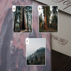 Sequoia National Park March 2026 Park Print Club letter and photography