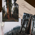 Sequoia National Park March 2026 Park Print Club letter and photography