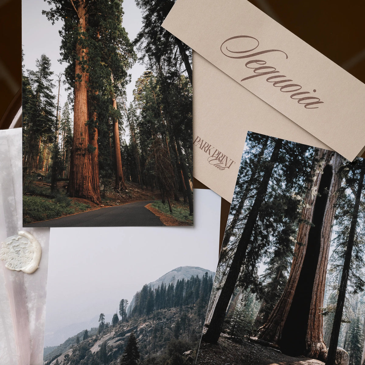 Sequoia National Park March 2026 Park Print Club letter and photography