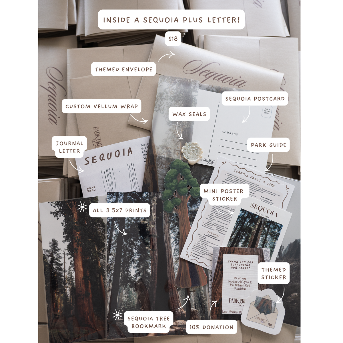 Sequoia National Park March 2026 Park Print Club letter and photography