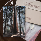 Sequoia National Park March 2026 Park Print Club letter and photography