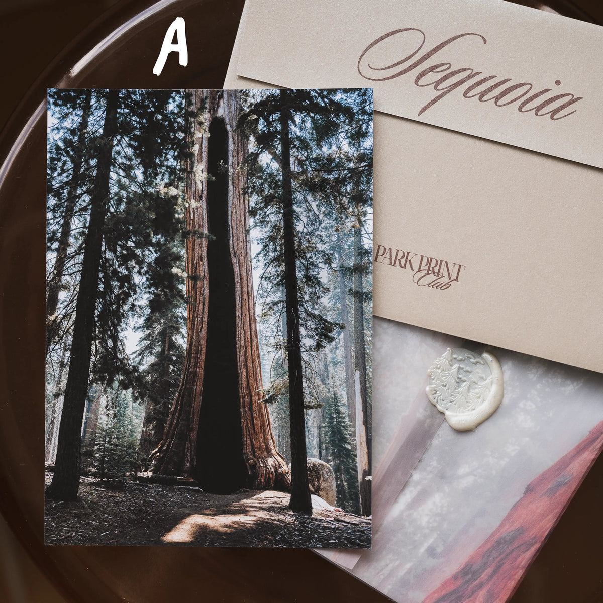 Sequoia National Park March 2026 Park Print Club letter and photography