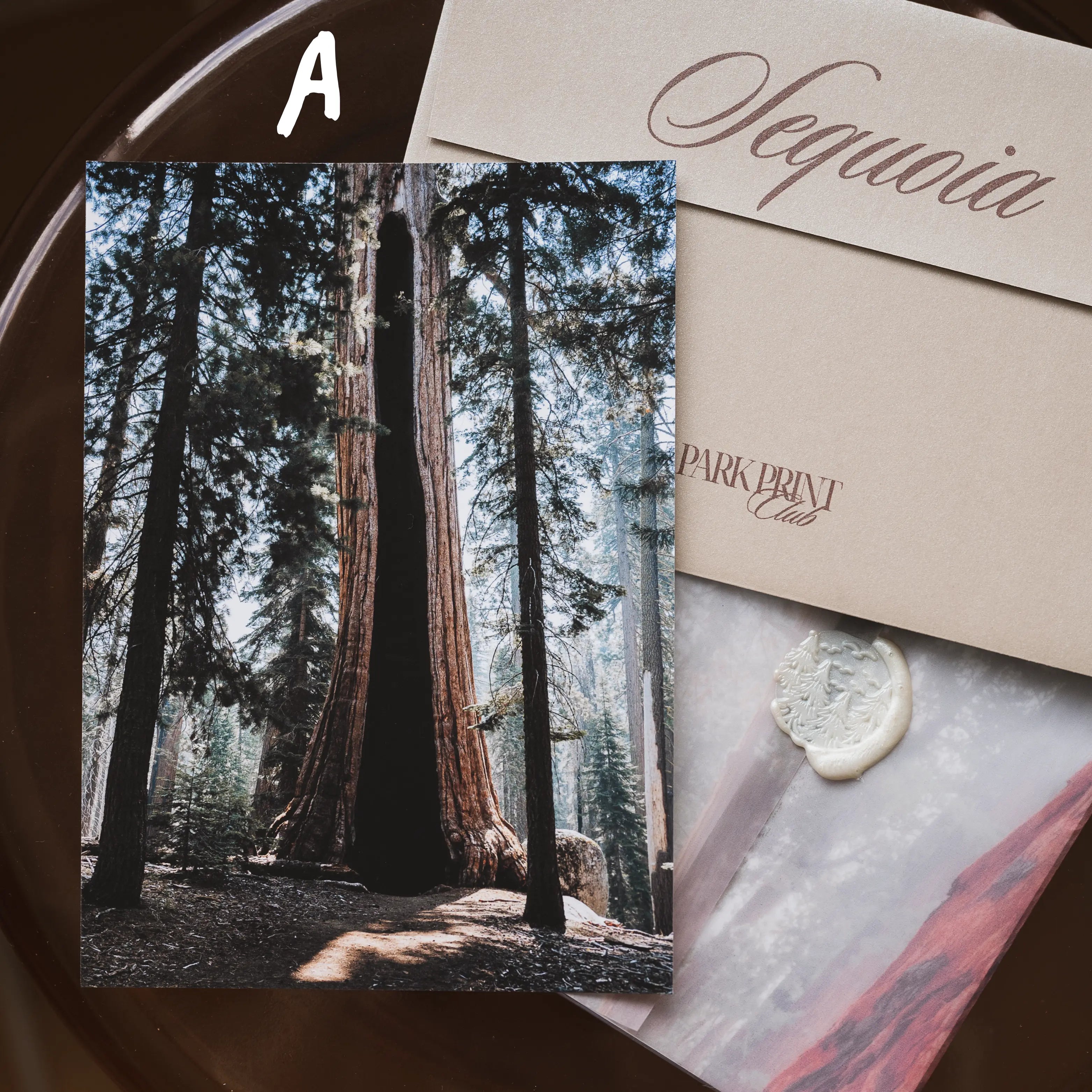 Sequoia National Park March 2026 Park Print Club letter and photography