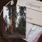 Sequoia National Park March 2026 Park Print Club letter and photography