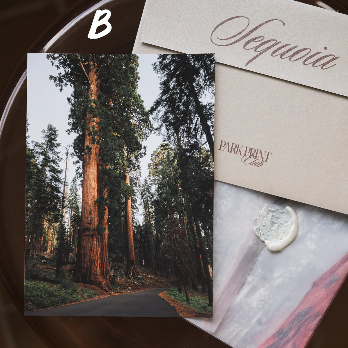 Sequoia National Park March 2026 Park Print Club letter and photography