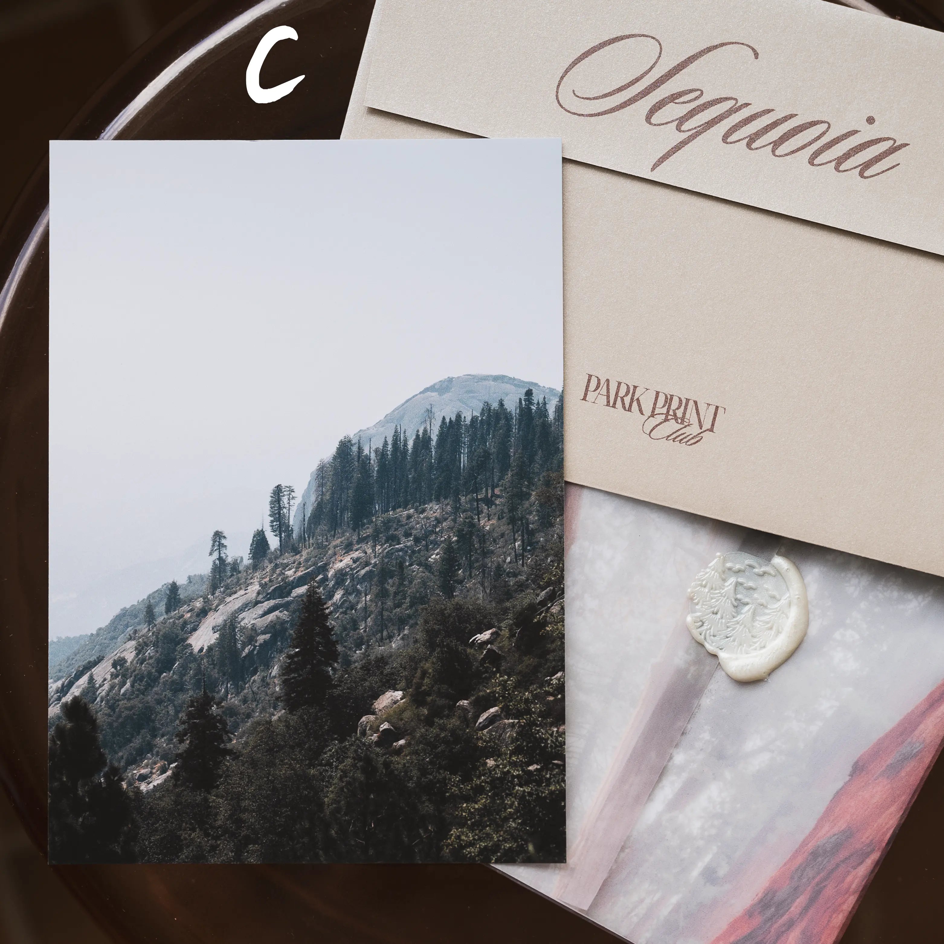 Sequoia National Park March 2026 Park Print Club letter and photography