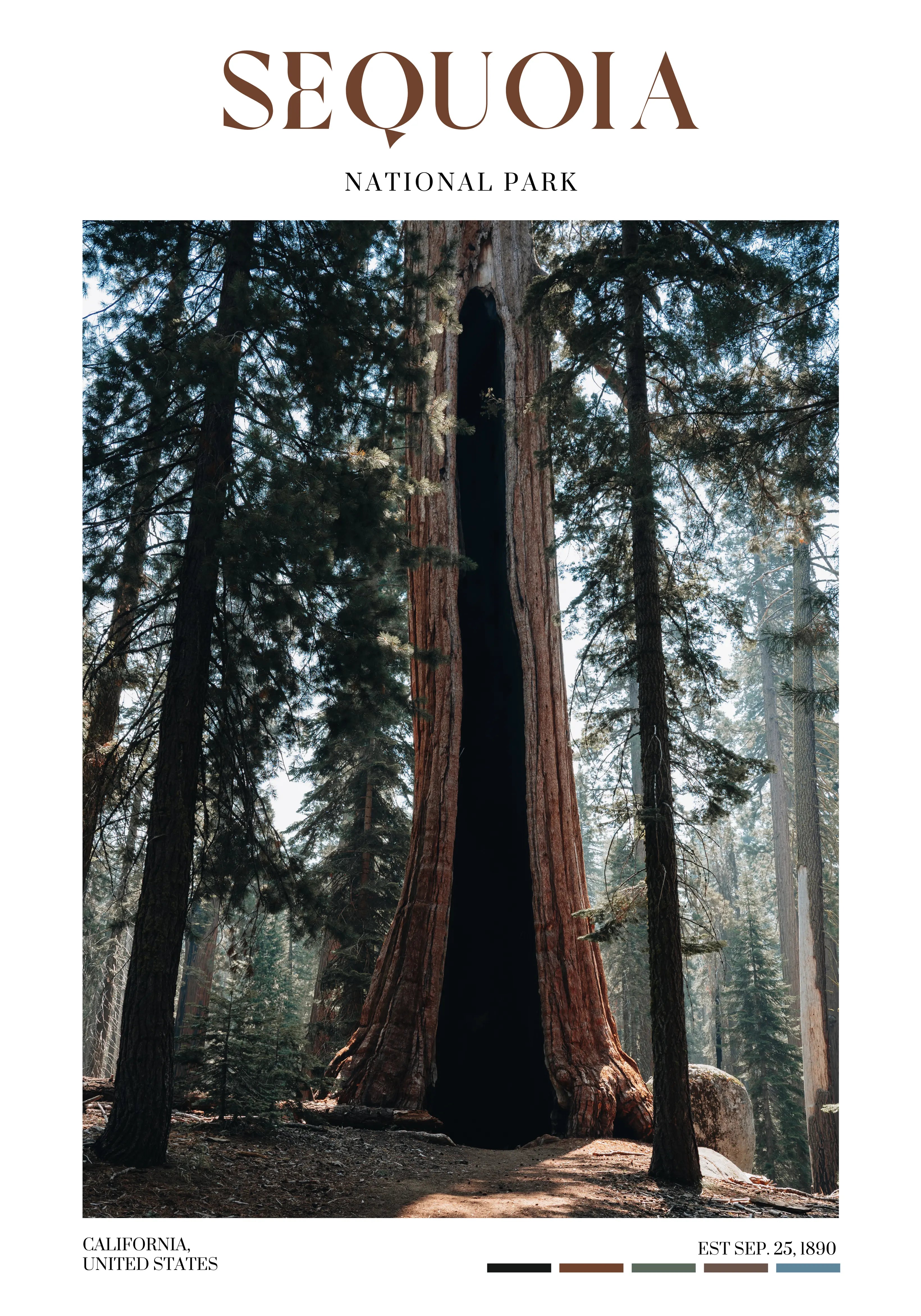 Black Arch giant sequoia tree poster in Sequoia National Park, California