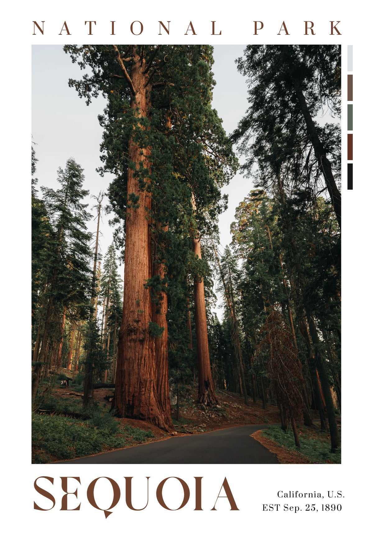Sequoia National Park poster featuring a road through giant sequoia trees in California