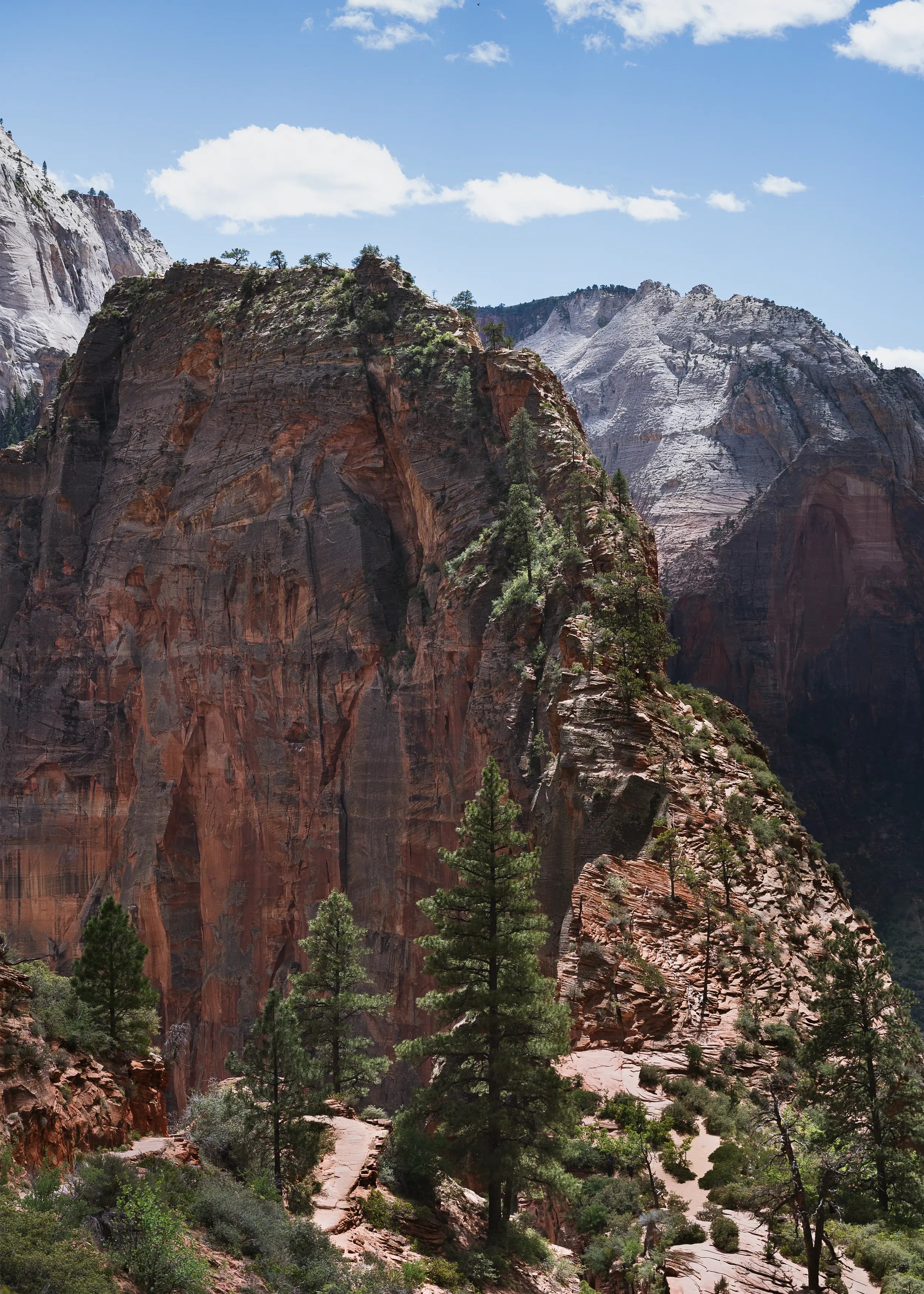 Angels Landing in Zion National Park, Utah photography print