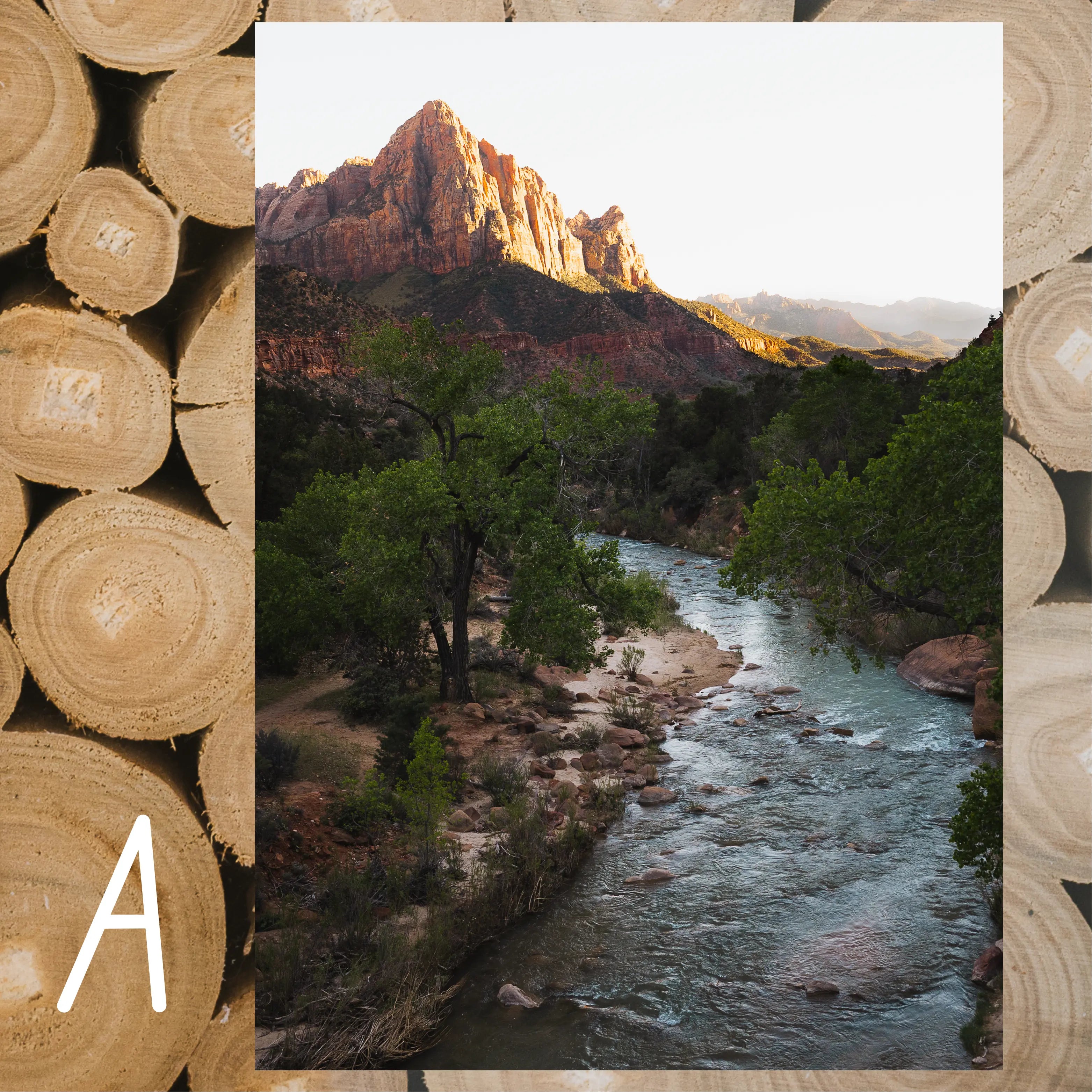 Zion National Park May 2026 Park Print Club letter and photography