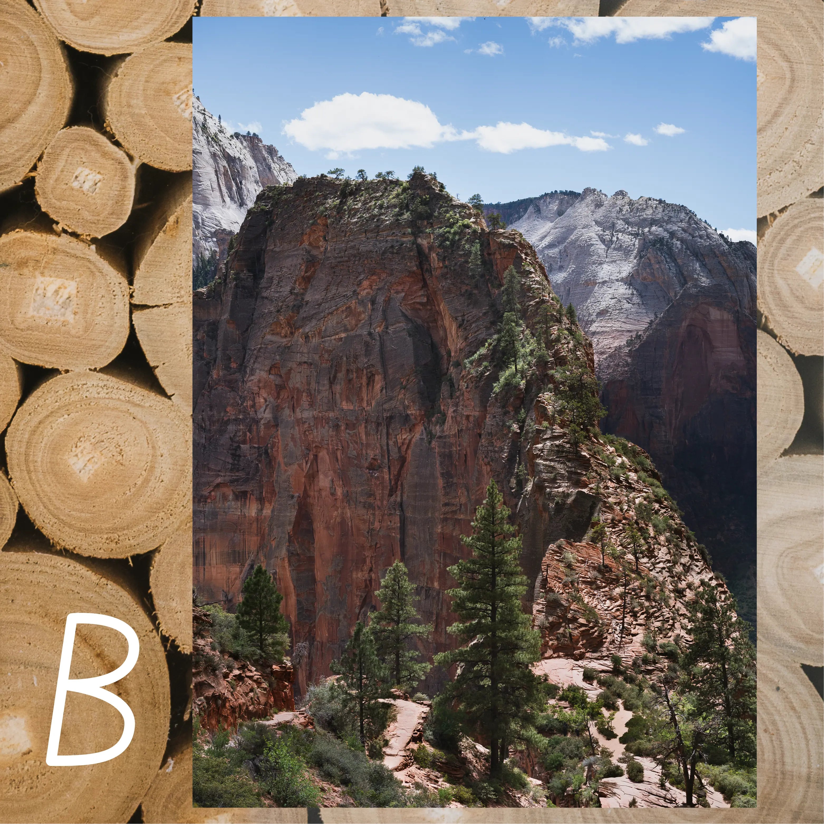Zion National Park May 2026 Park Print Club letter and photography