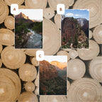 Zion National Park May 2026 Park Print Club letter and photography