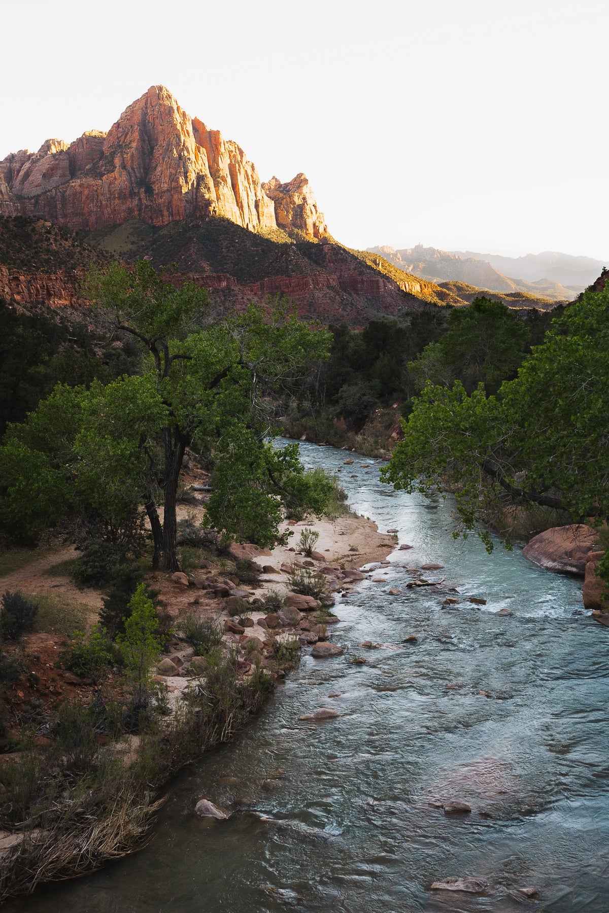 The Watchman above the Virgin River at sunset in Zion National Park, Utah photography print