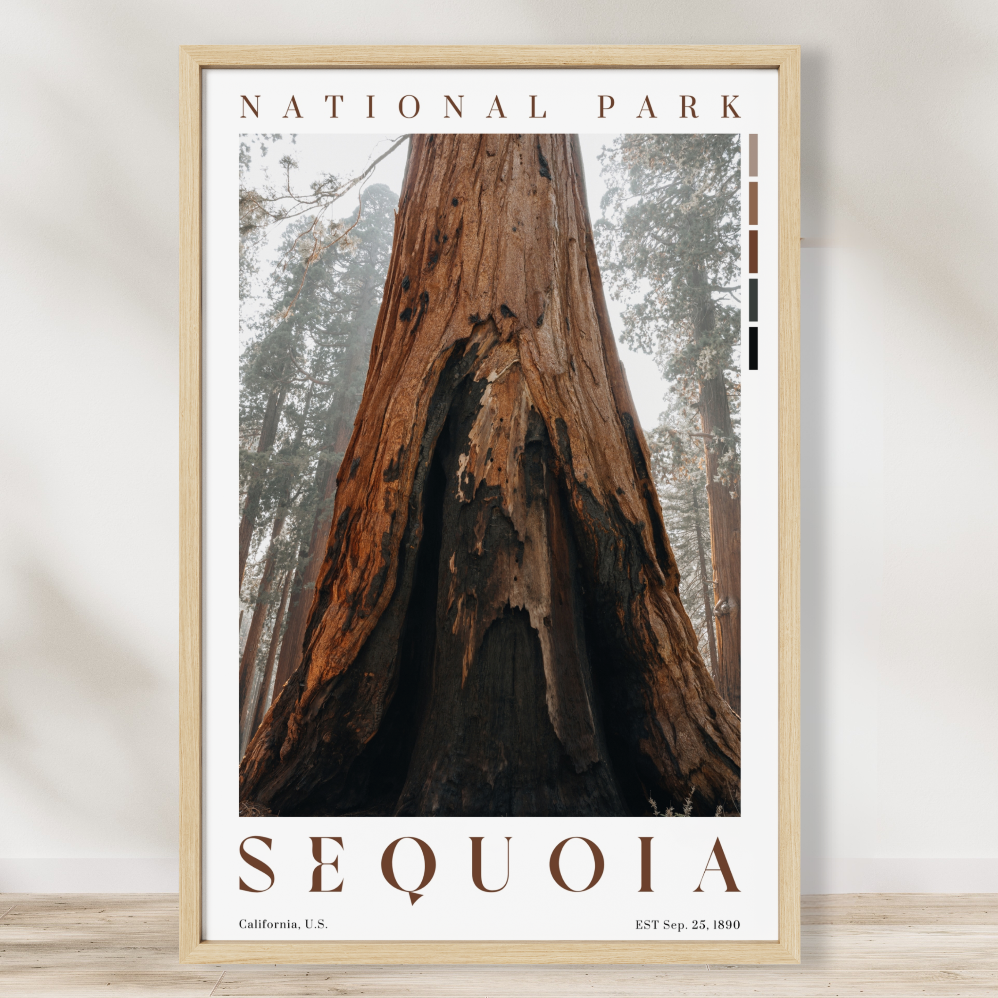 Sequoia National Park Poster