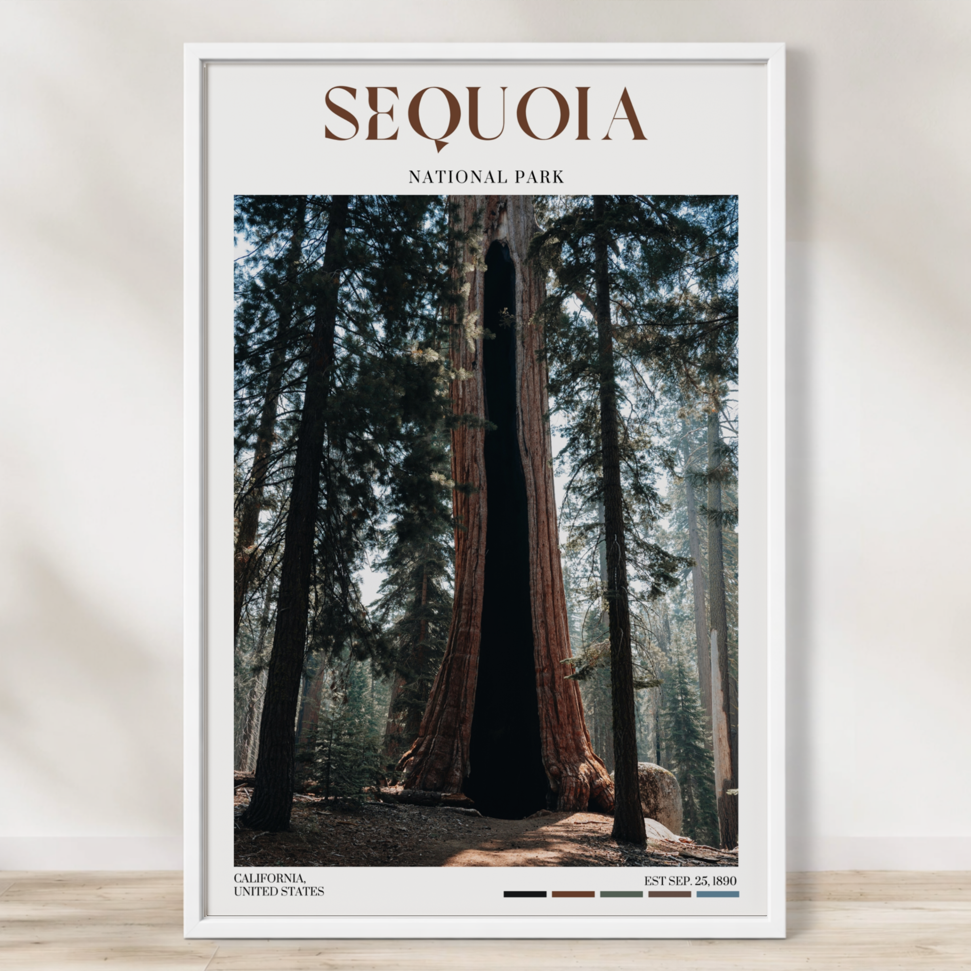 Sequoia National Park Poster